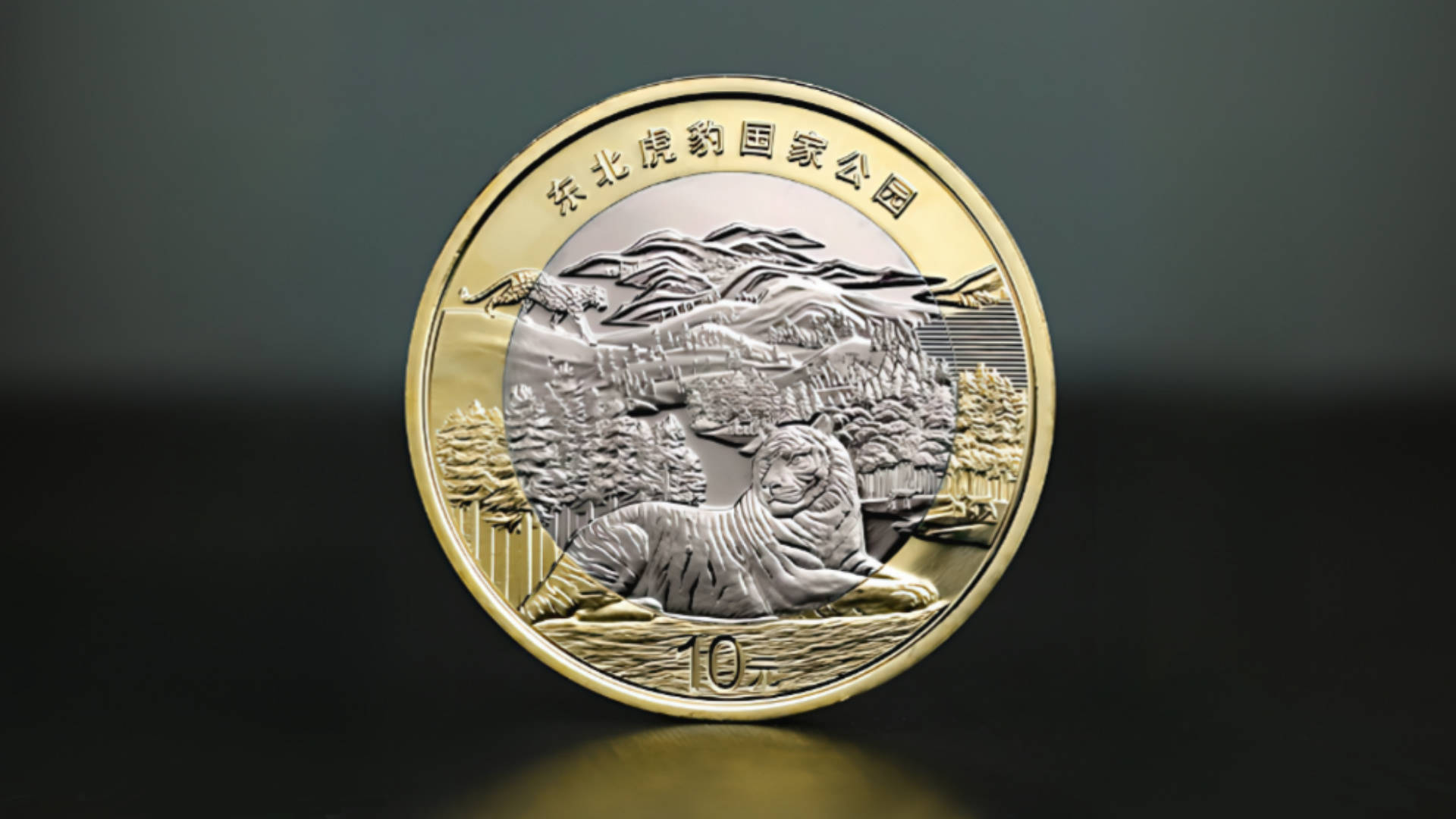 下一站，10元新龙币和10元新公园币，即将预约！