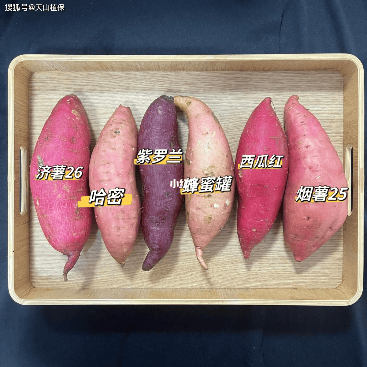 番薯和红薯的区别