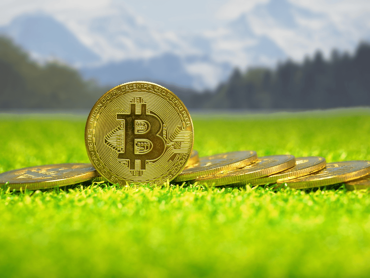 虚拟货币司法处置：处置公司需要哪些资质？