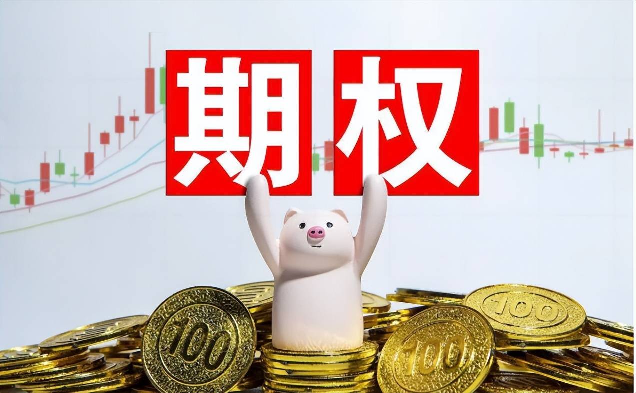 2025国内的期权手续费都是多少钱一张？