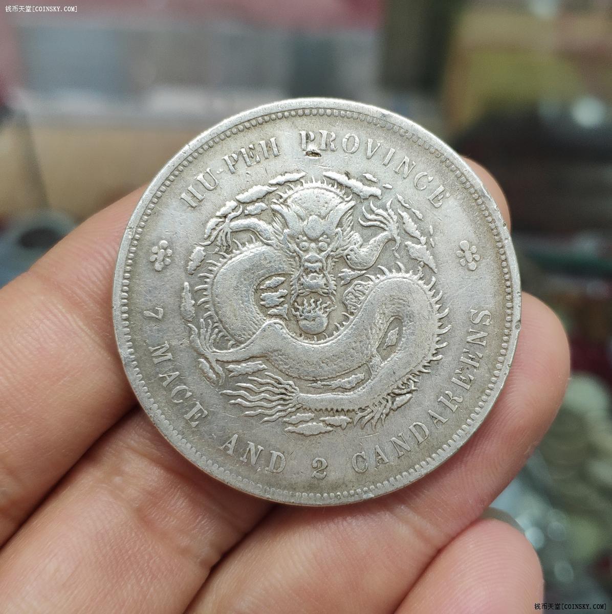 龙洋币(龙洋银元价格表)