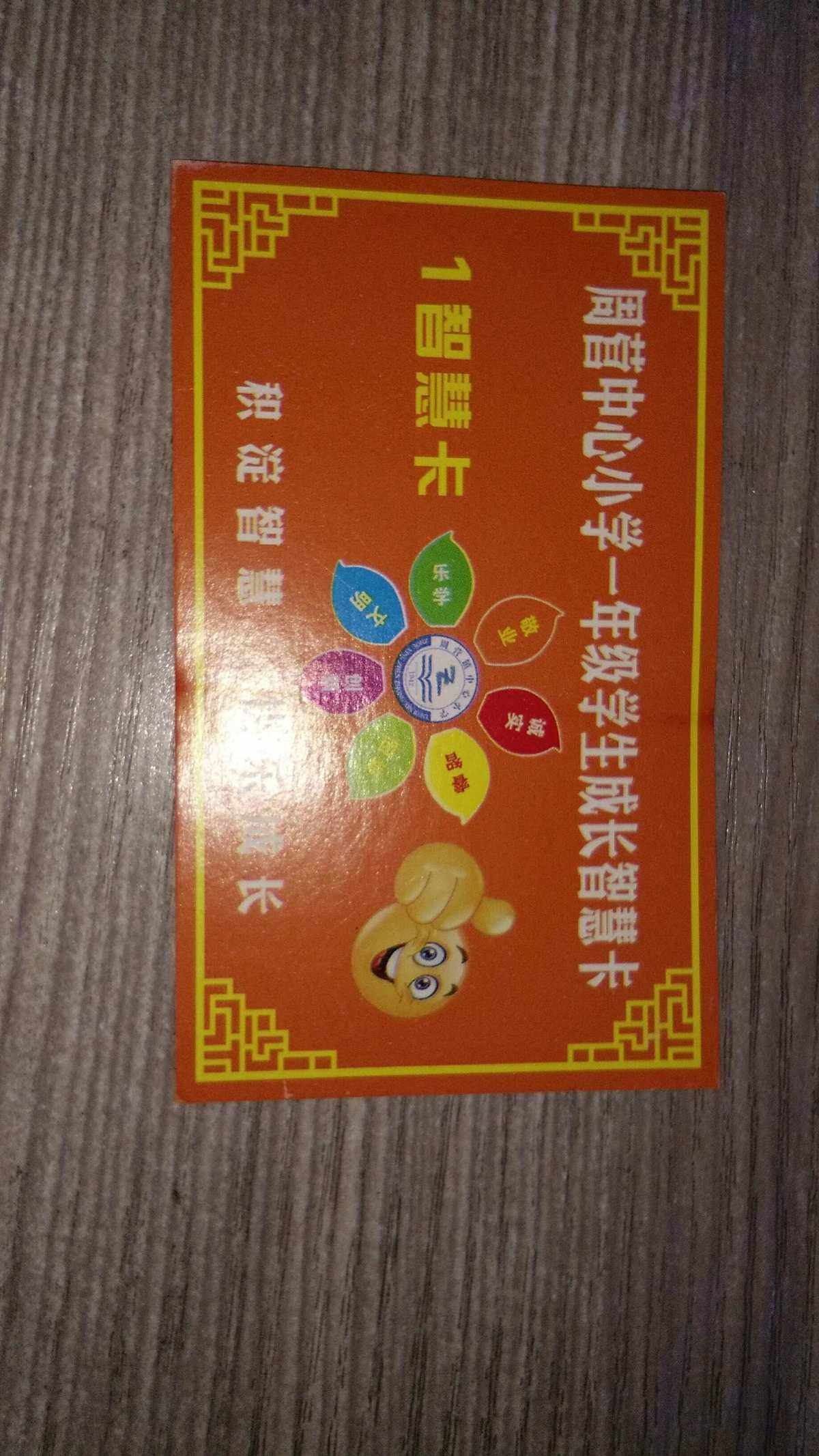 聪明币(聪明币的卡通图片)