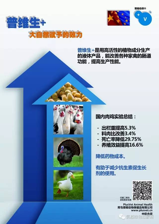 普维币(普维币如何参与)