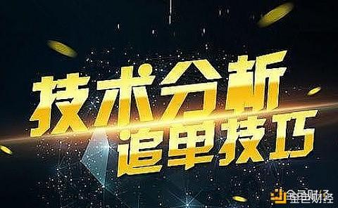 追币(追币网app下载)