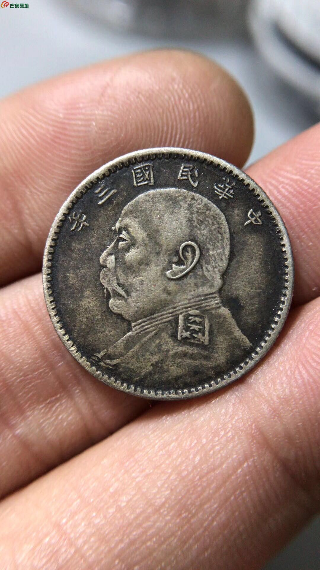 大头币(大头币的价格图片)