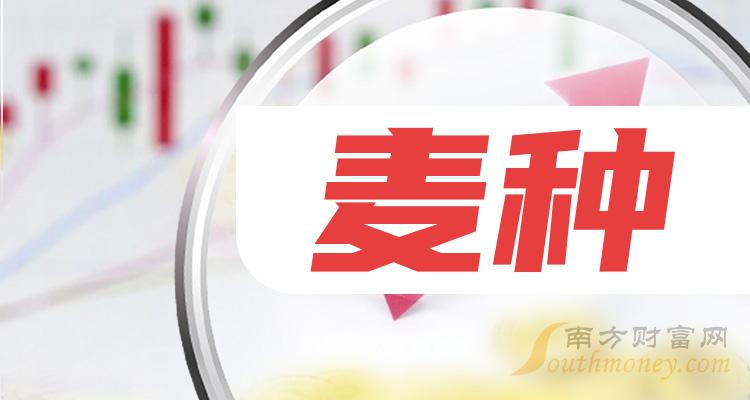 麦币网的简单介绍