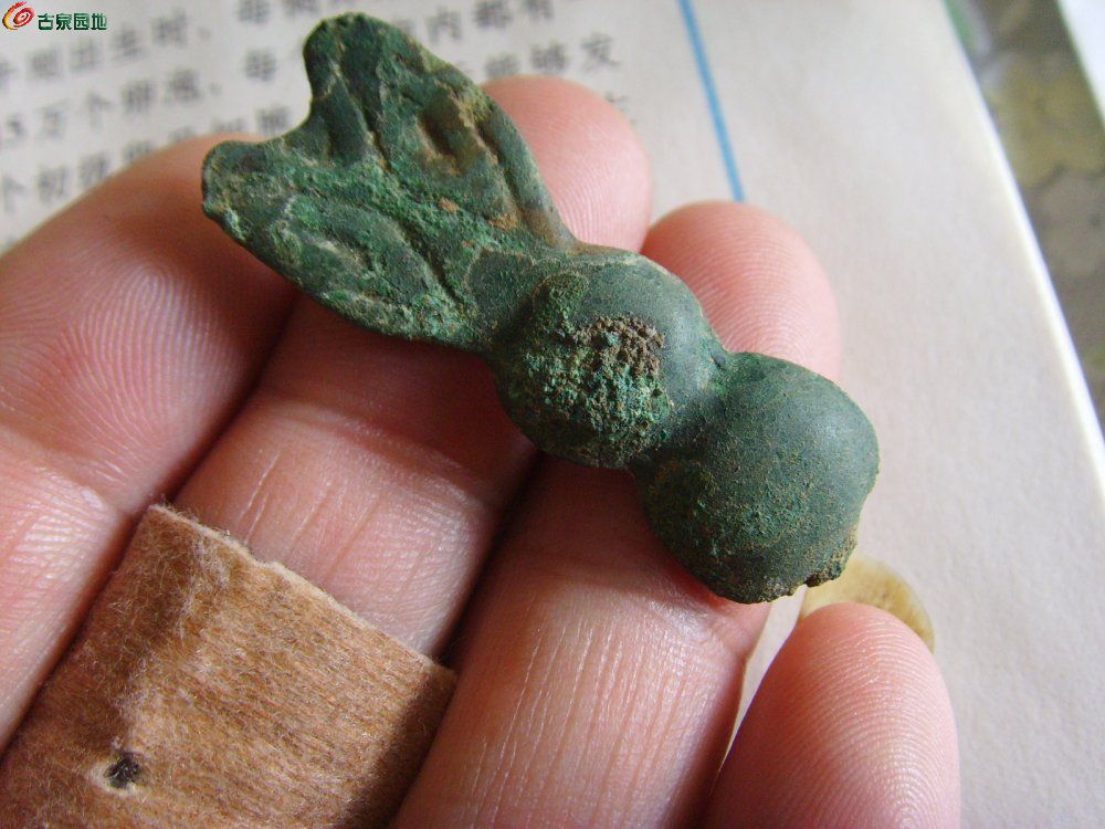 兔子币(兔子币是什么意思)