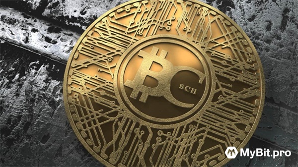 BCH(b超单有这个一般是男孩)