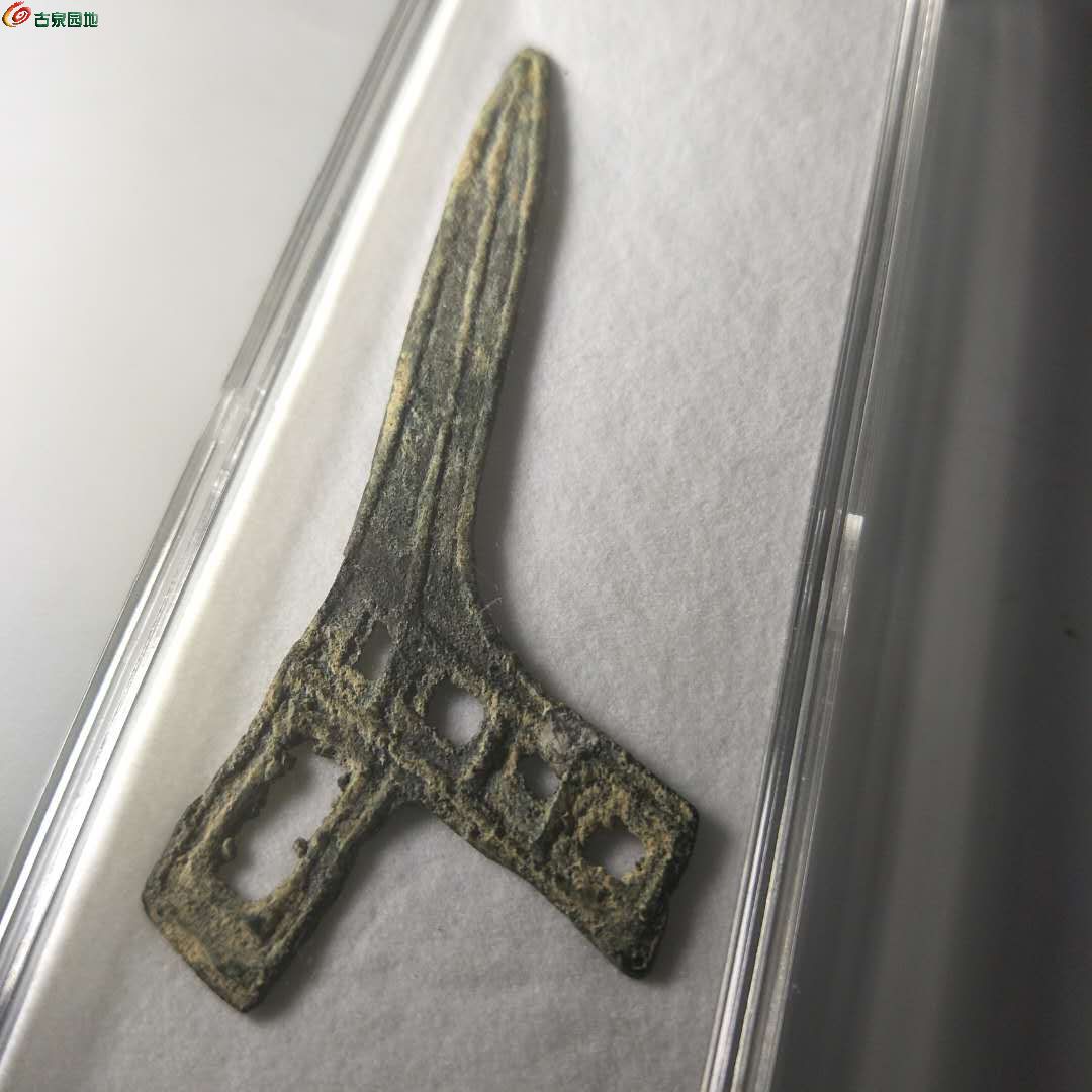 戈币(戈币是哪国货币)